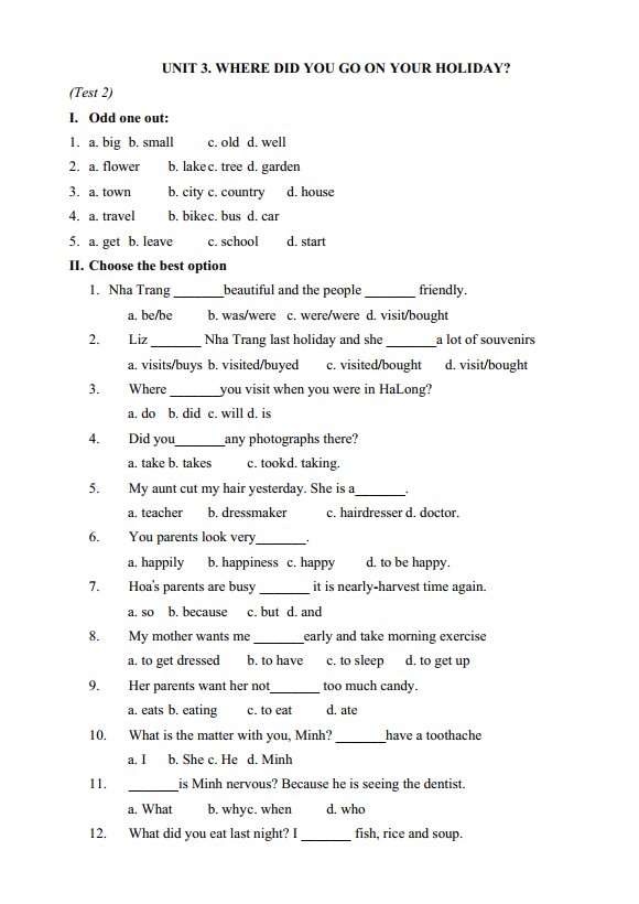 Bài tập ôn hè lớp 5 lên lớp 6 môn tiếng Anh (PDF tải xuống)