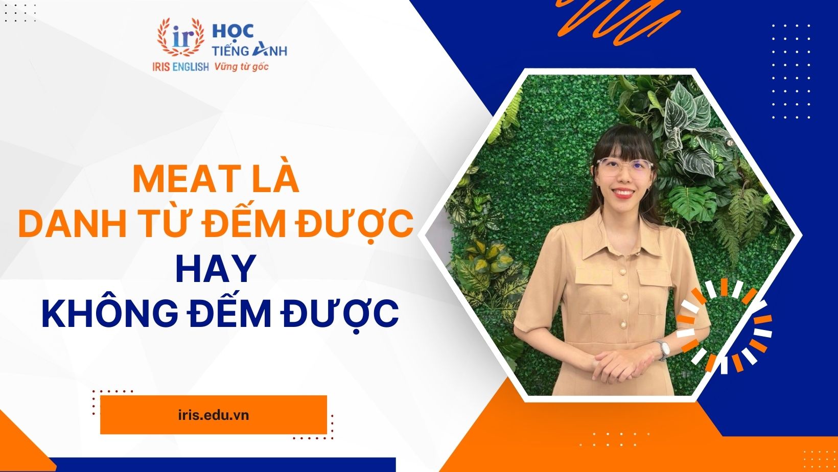 Meat là danh từ đếm được hay không đếm được?
