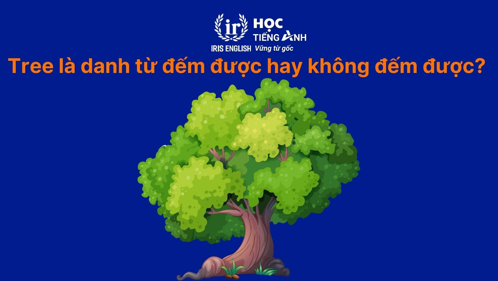 Tree là danh từ đếm được hay không đếm được?