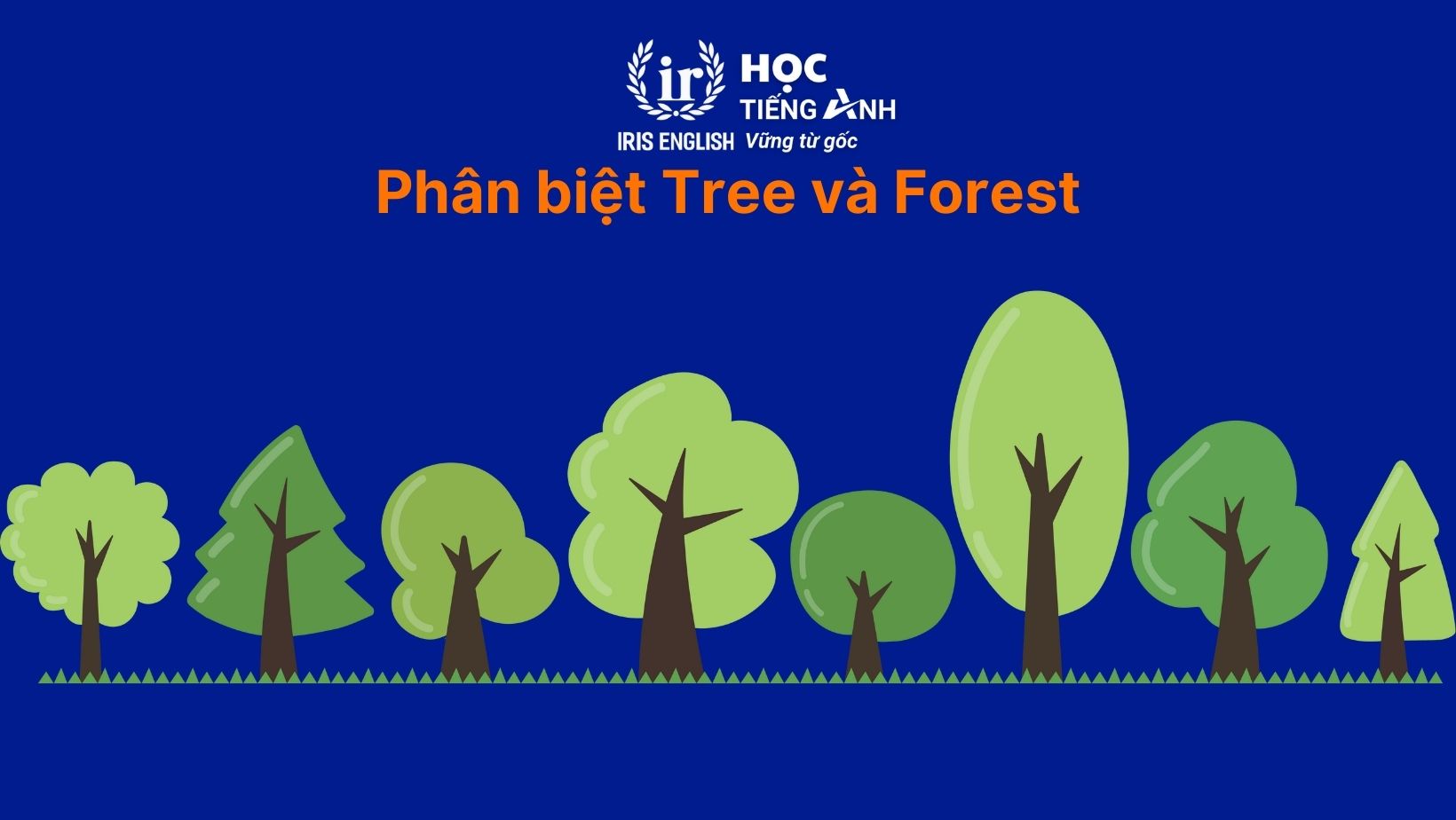 Phân biệt Tree và Forest