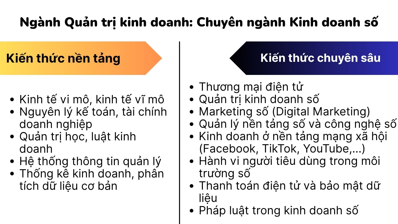 Ngành Quản trị kinh doanh: Chuyên ngành Kinh doanh số