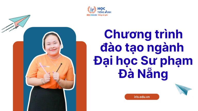 Chương trình đào tạo các ngành Đại học Sư phạm Đà Nẵng