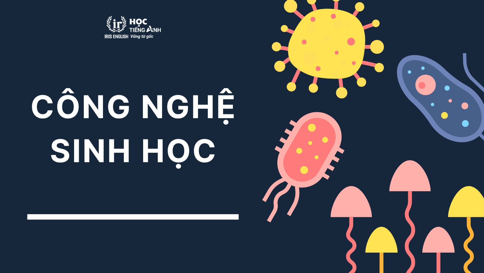 Ngành công nghệ sinh học là gì? Nên học trường nào Đà Nẵng?