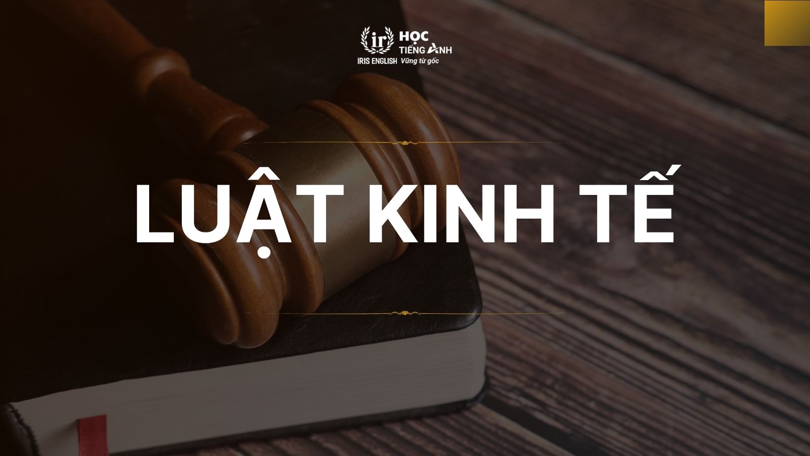Ngành luật kinh tế là gì? Nên học trường nào Đà Nẵng?