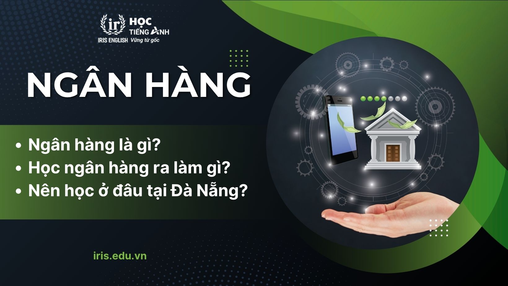 Ngành ngân hàng là gì? Nên học ngân hàng ở đâu Đà Nẵng?