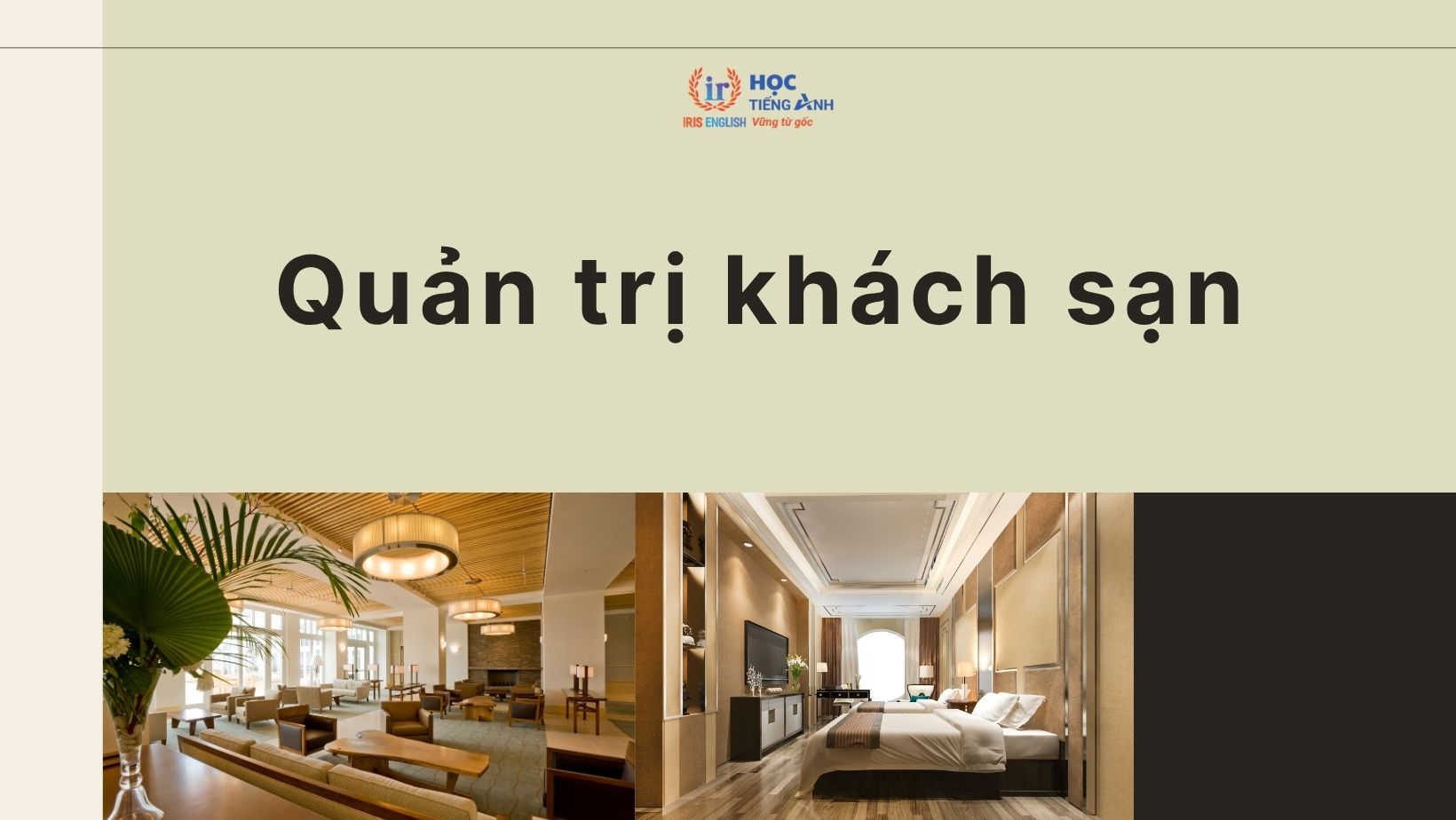 Ngành quản trị khách sạn là gì? Nên học trường nào Đà Nẵng?