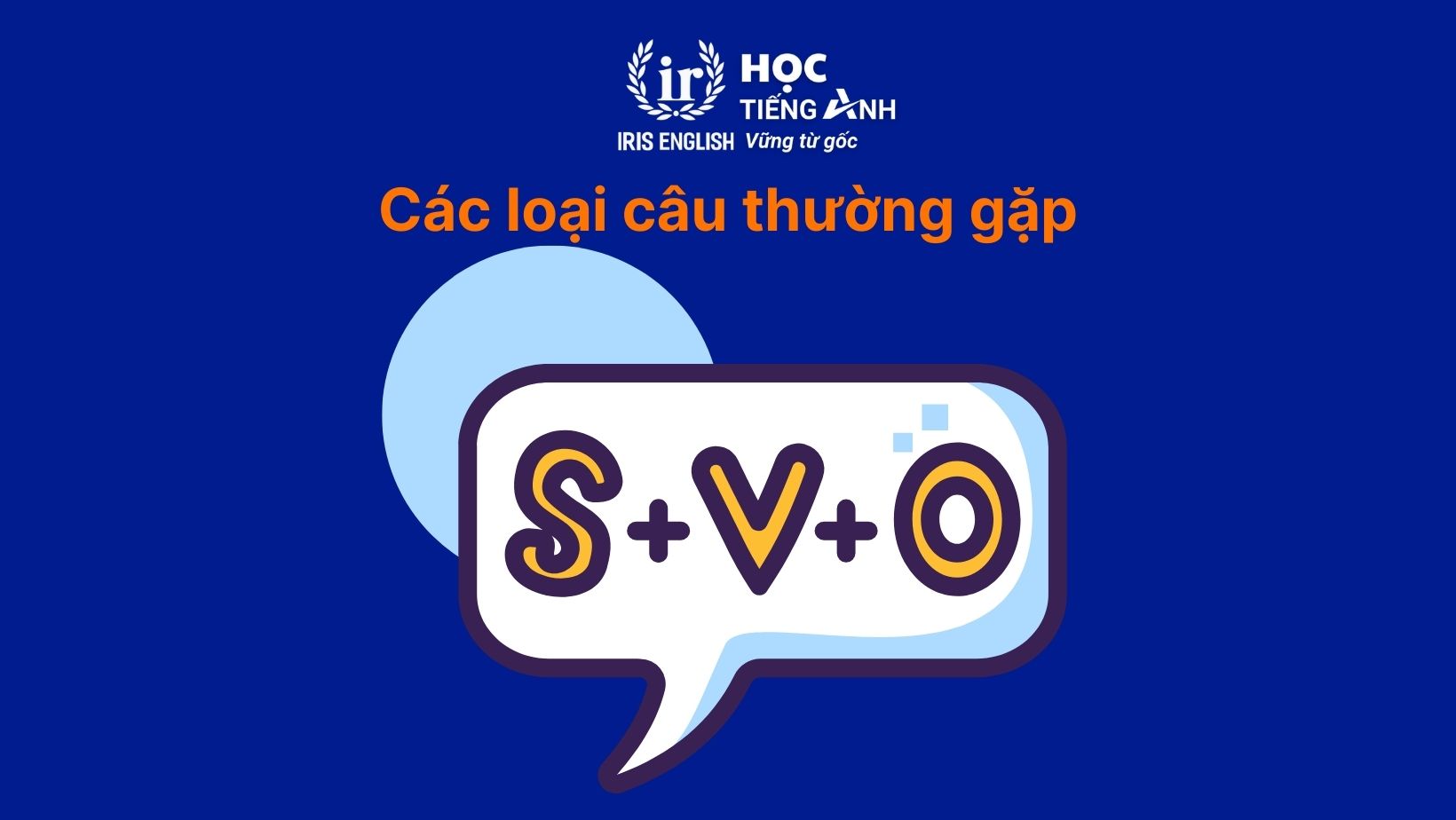 Các loại câu thường gặp