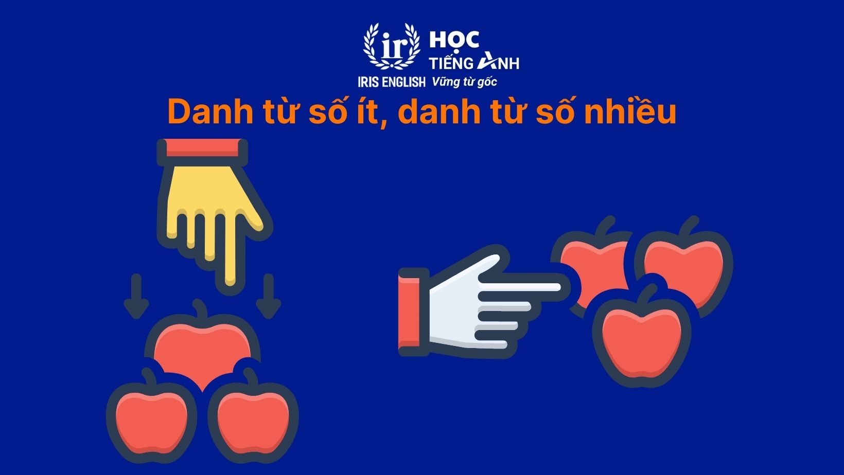 Danh từ số ít, danh từ số nhiều