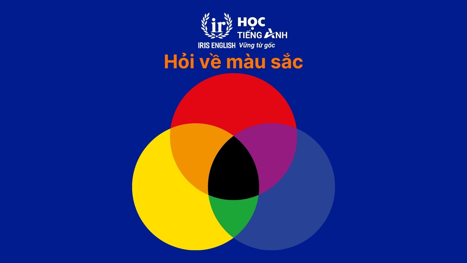 Hỏi về màu sắc