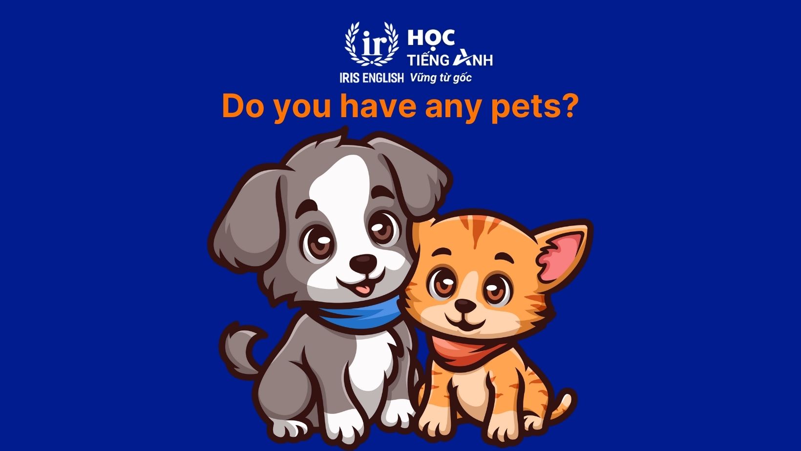 Từ vựng tiếng Anh lớp 3 Unit 16: Do you have any pets?