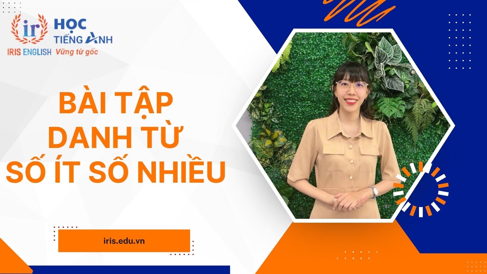 Lý thuyết & 50+ bài tập danh từ số ít số nhiều có đáp án