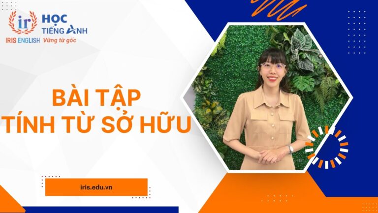 Lý thuyết & 50+ bài tập tính từ sở hữu có đáp án